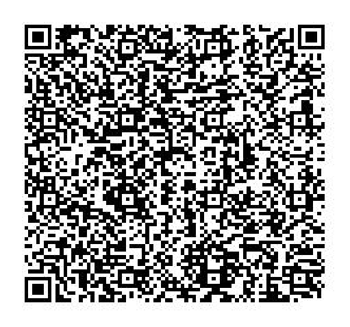 GouvCheck QR code of business permit 10077275 / 4
